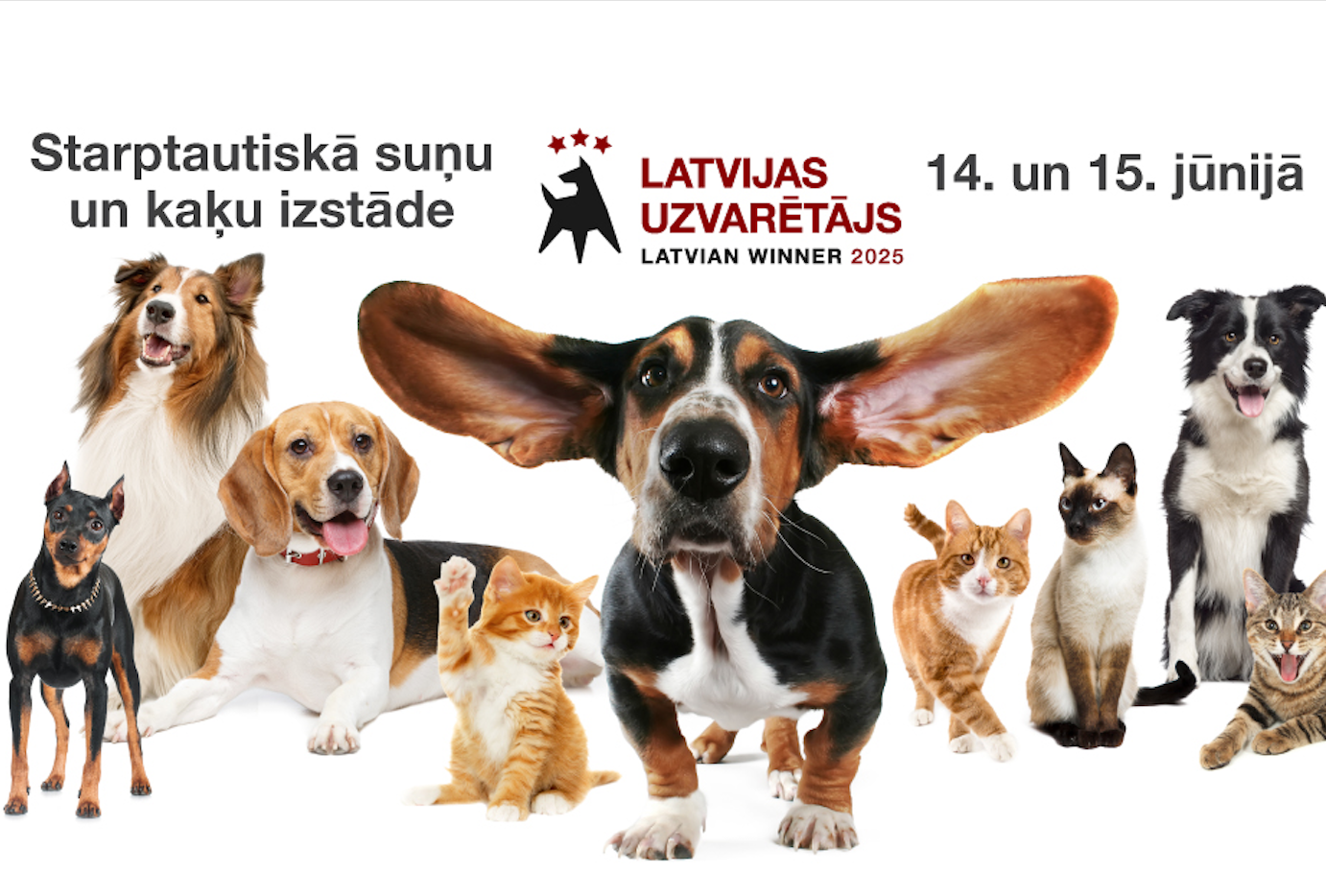 Starptautiskā suņu izstāde LATVIJAS UZVARĒTĀJS 2025
