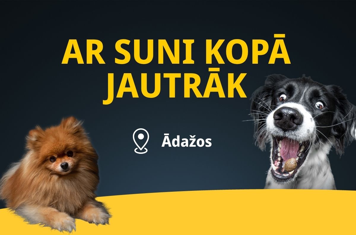 Ar suni kopā jautrāk!  